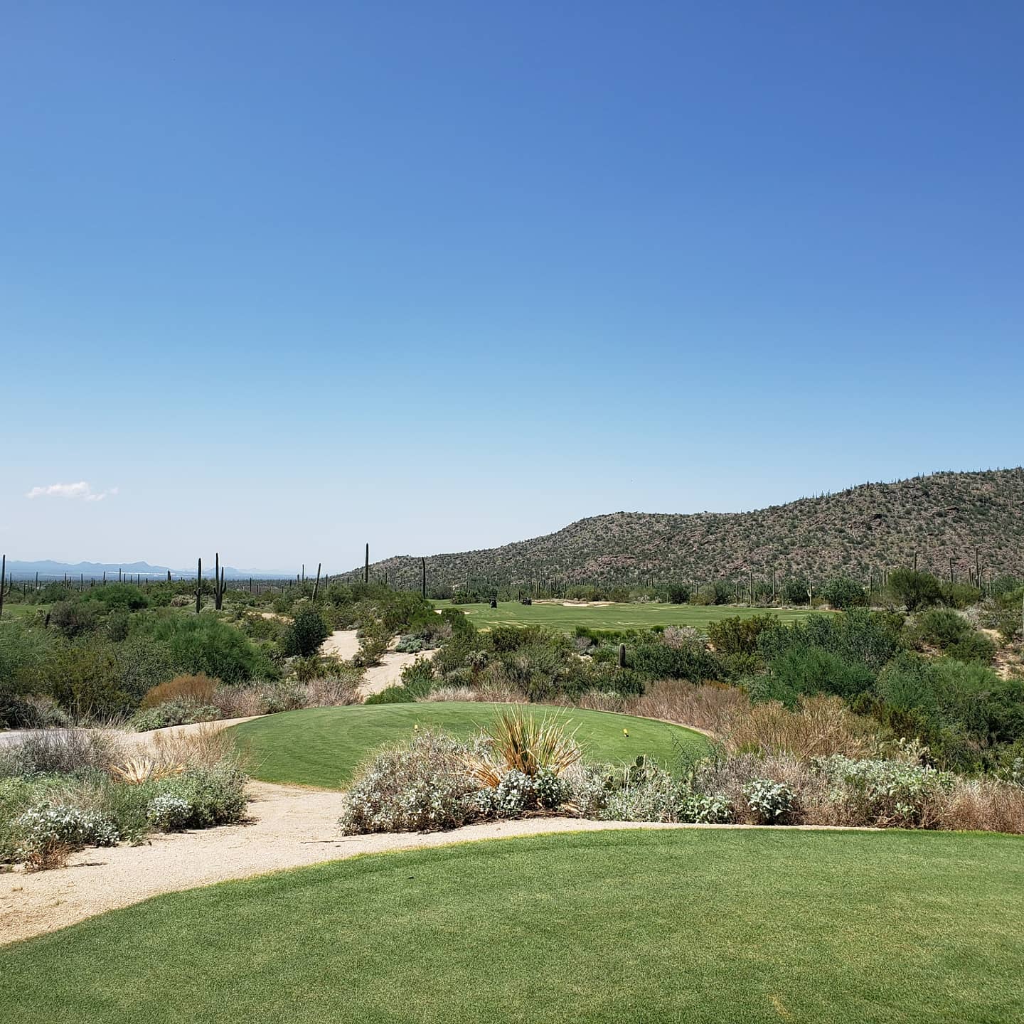 The Golf Club at Dove Mountain, Jack Nicklaus desert golf in the Tortolita foothills near Tucson, Arizona