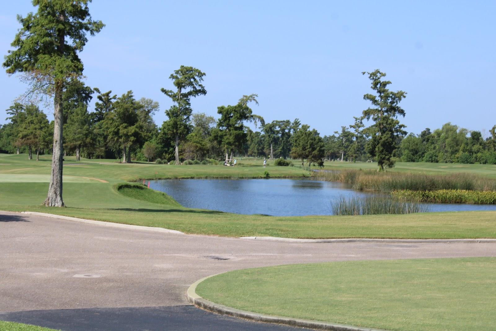 TPC Louisiana, Pete Dye fairways through cypress and water at Avondale near New Orleans, Louisiana