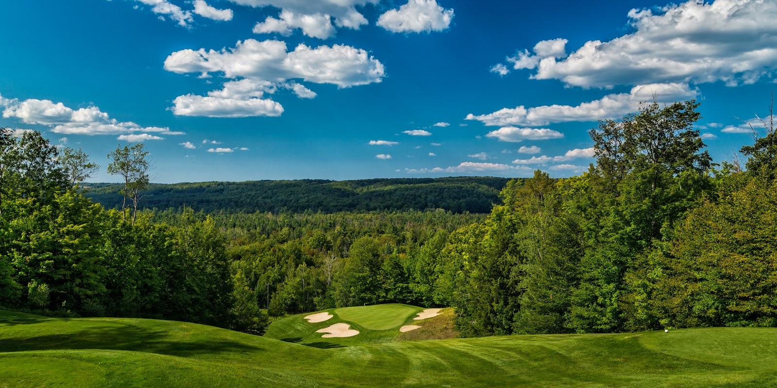 Treetops Resort Premier Course, a Tom Fazio fairway rolling through forested high ground at Gaylord, Michigan