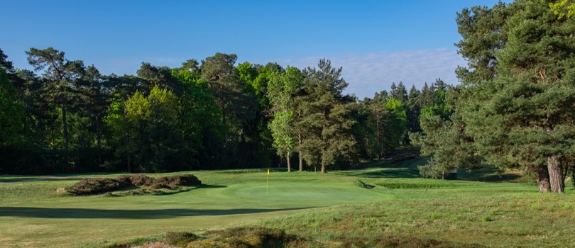 The Surrey and Berkshire Heathland, Sunningdale Heath Golf Club golf course