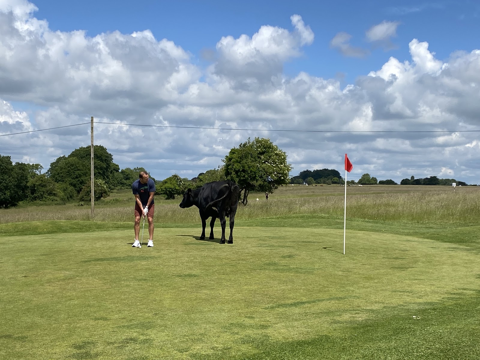 Minchinhampton Old Course, the Cotswolds, golf across open common land