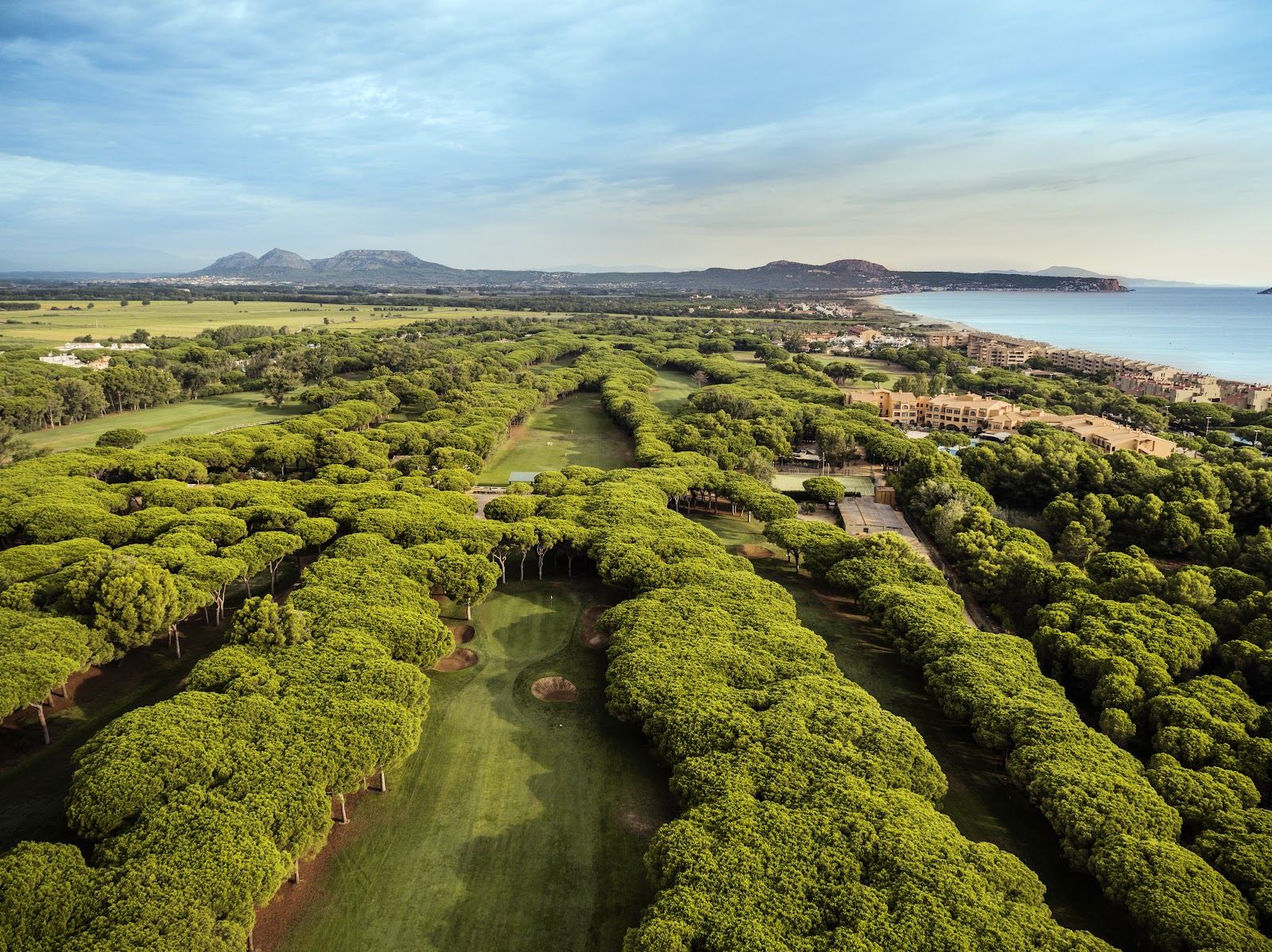 Golf de Pals, fairways through umbrella pines by Platja de Pals, Costa Brava, Spain