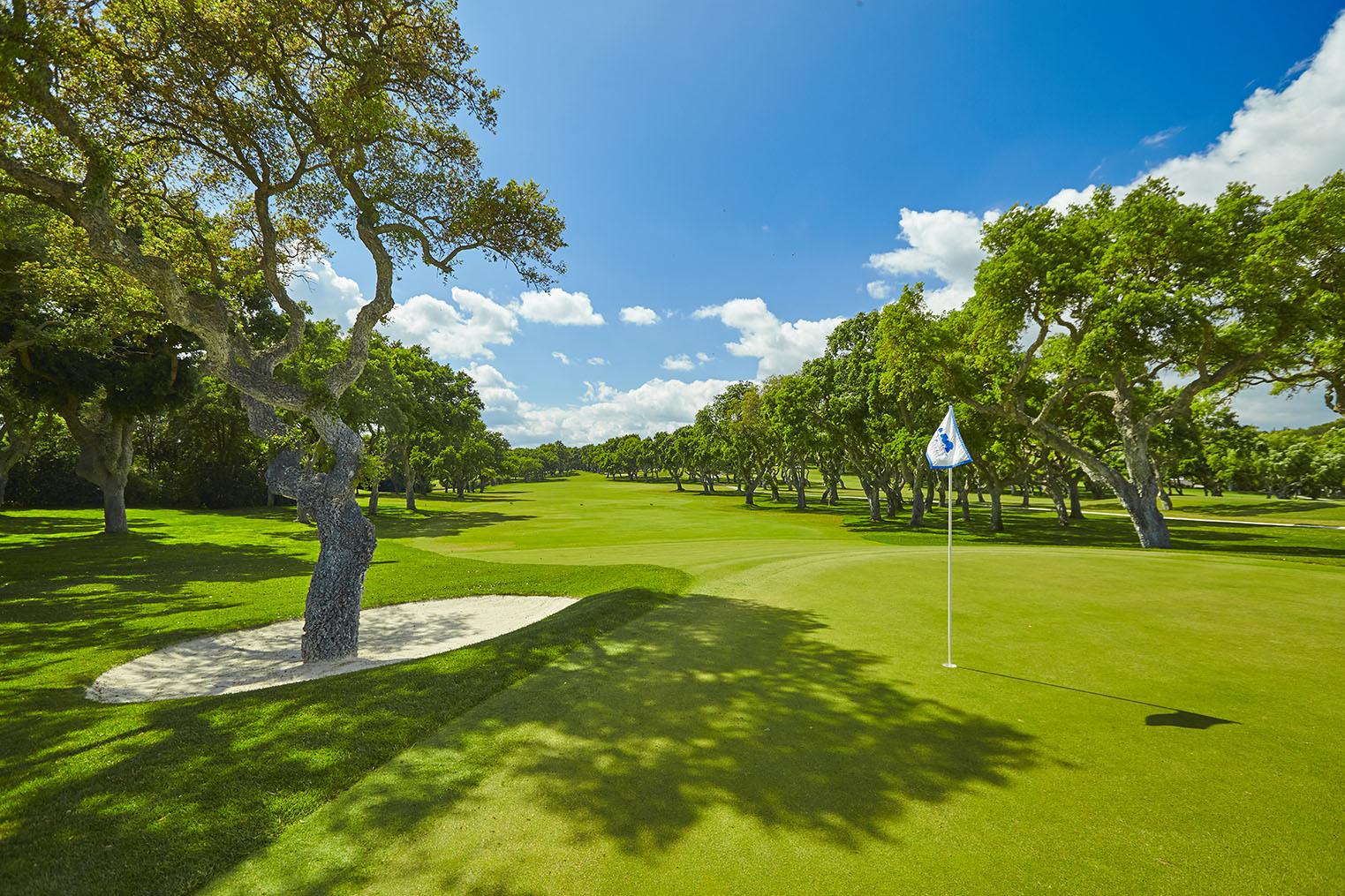 Real Club Valderrama, cork oak lined fairway in Sotogrande on the Costa del Sol, Spain