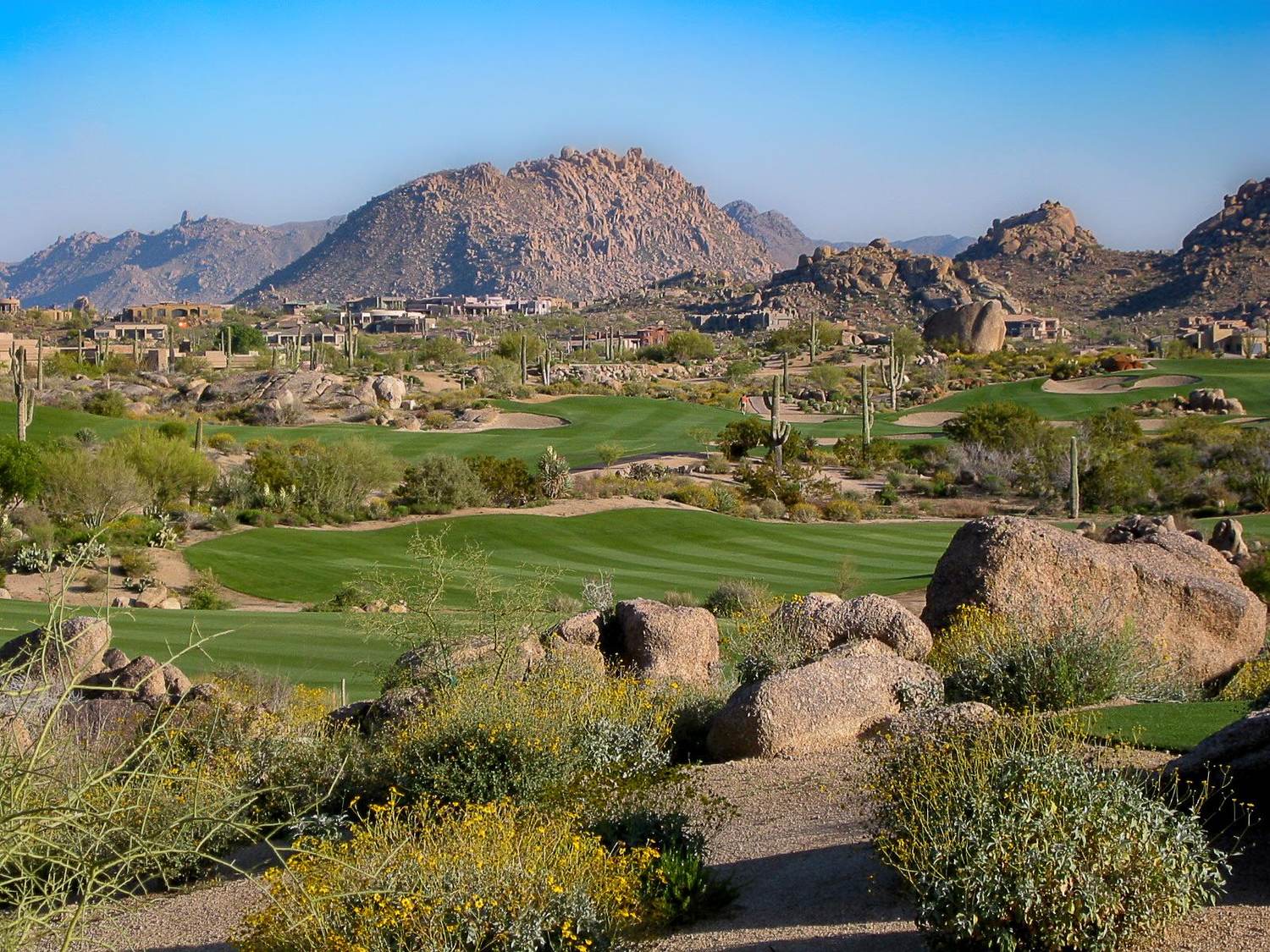 Troon North Golf Club desert fairway framed by saguaro cactus near Scottsdale, Arizona