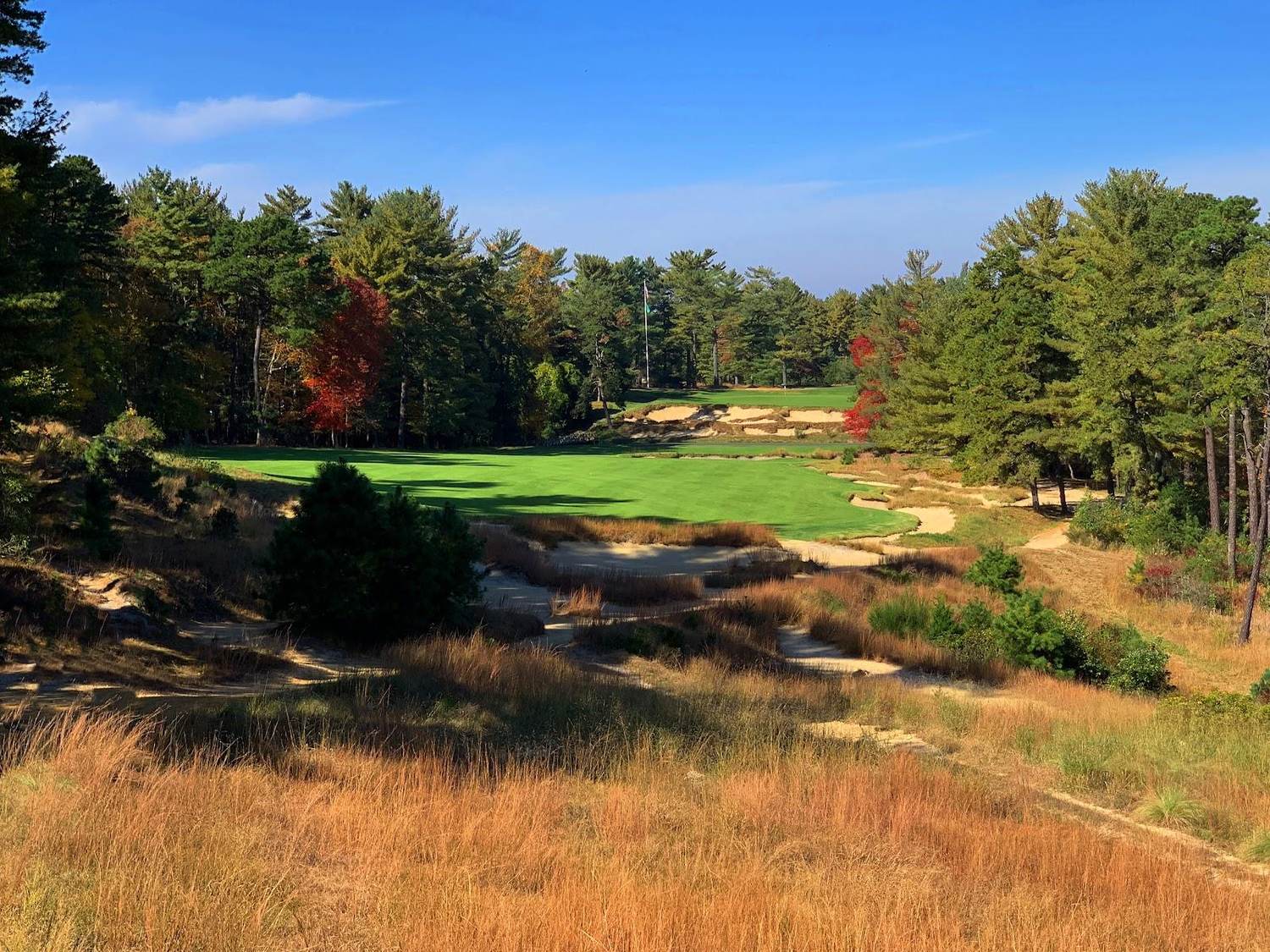 Pine Valley Golf Club, the perennial world No. 1, in the New Jersey pines