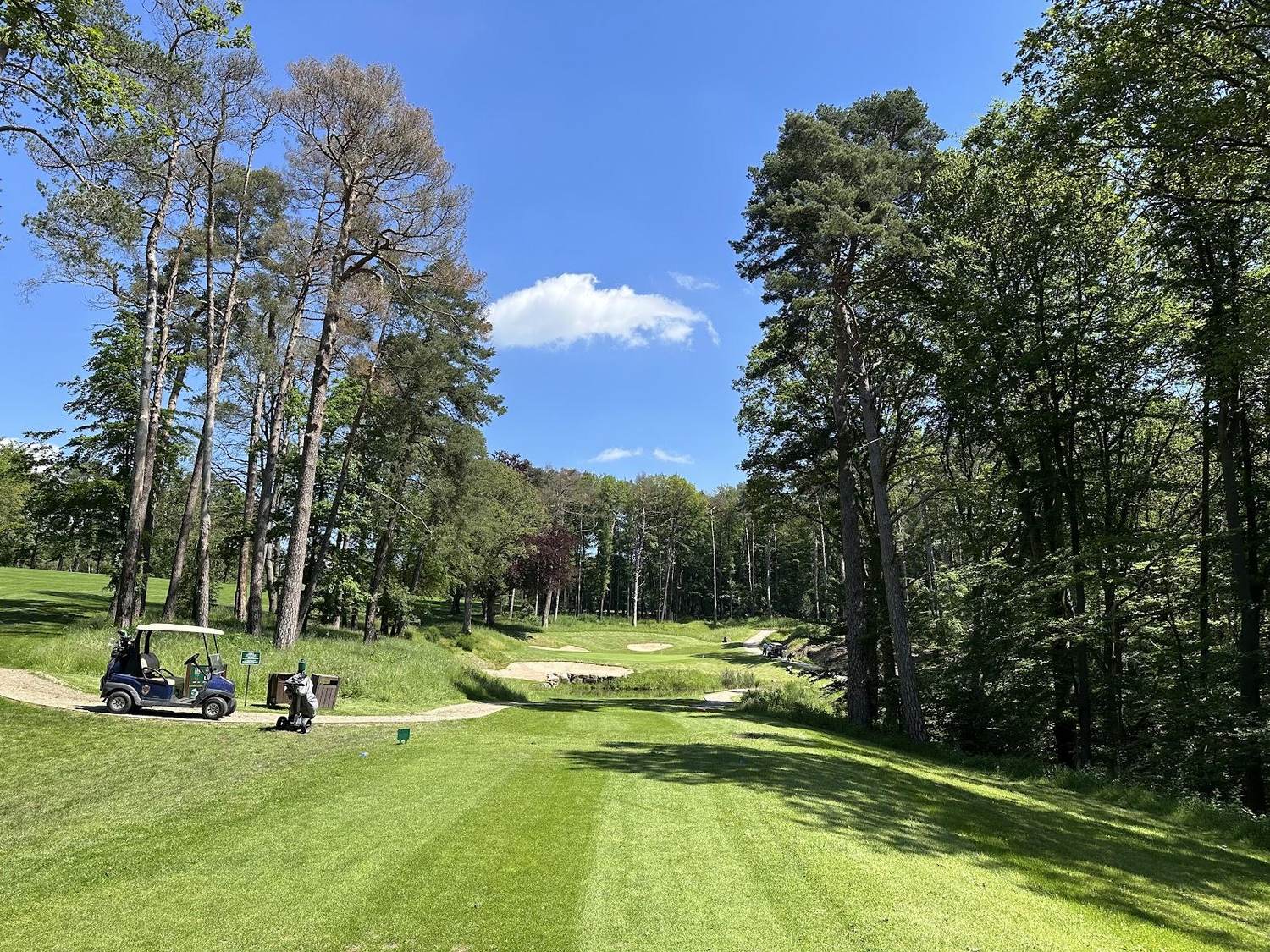 Parkland golf course in Belgium under soft summer light, illustrating the best months to play golf in Belgium