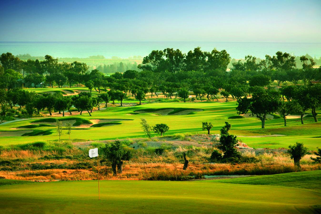Elea Estate, golf course