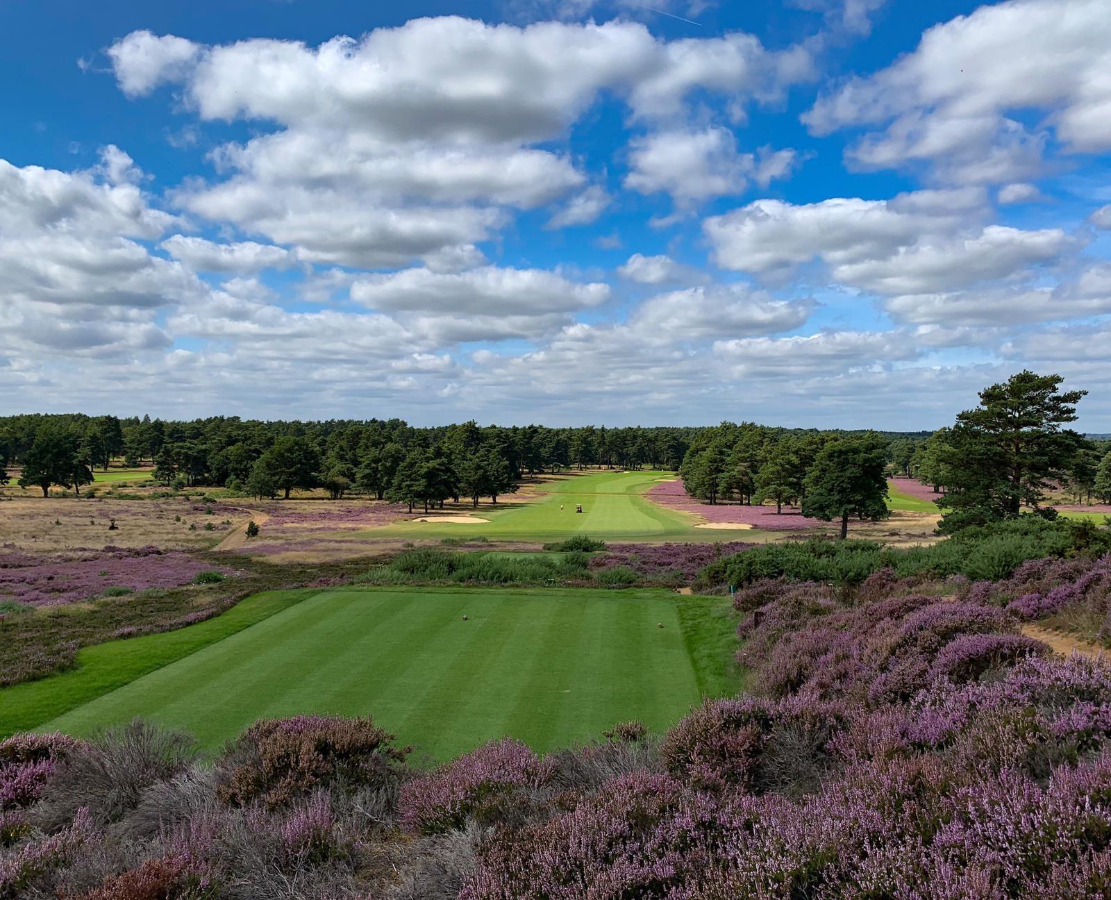 Hankley Common Golf Club heathland near Tilford and Farnham, Surrey, England