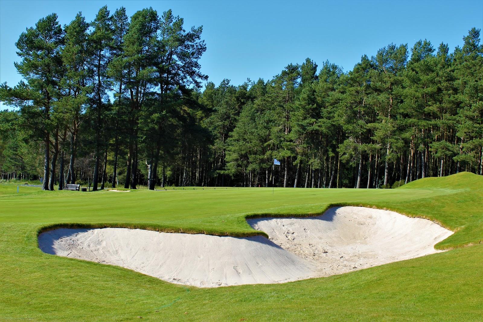 Ladybank Golf Club, Fife, heathland fairway lined with pine and heather
