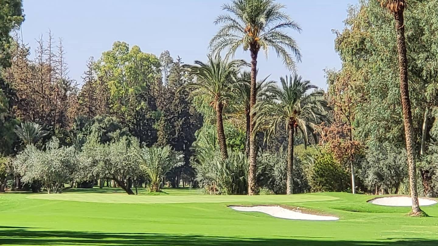 Royal Golf Marrakech, fairways below the Atlas Mountains, Morocco