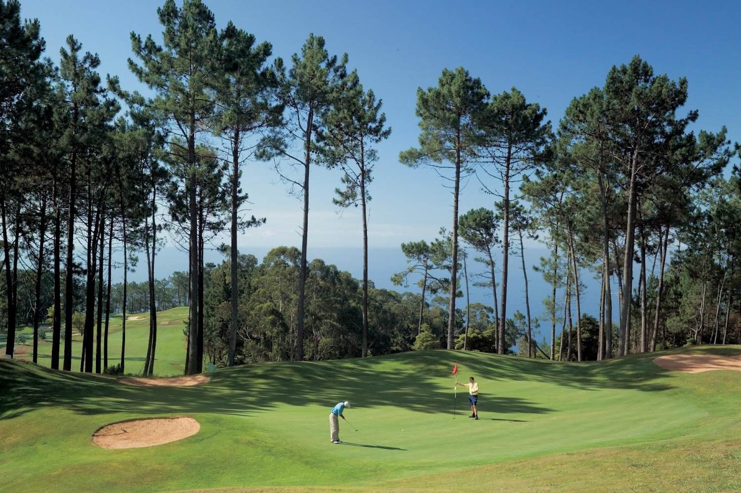 Palheiro Golf, fairway among pine and subtropical planting high above Funchal, Madeira