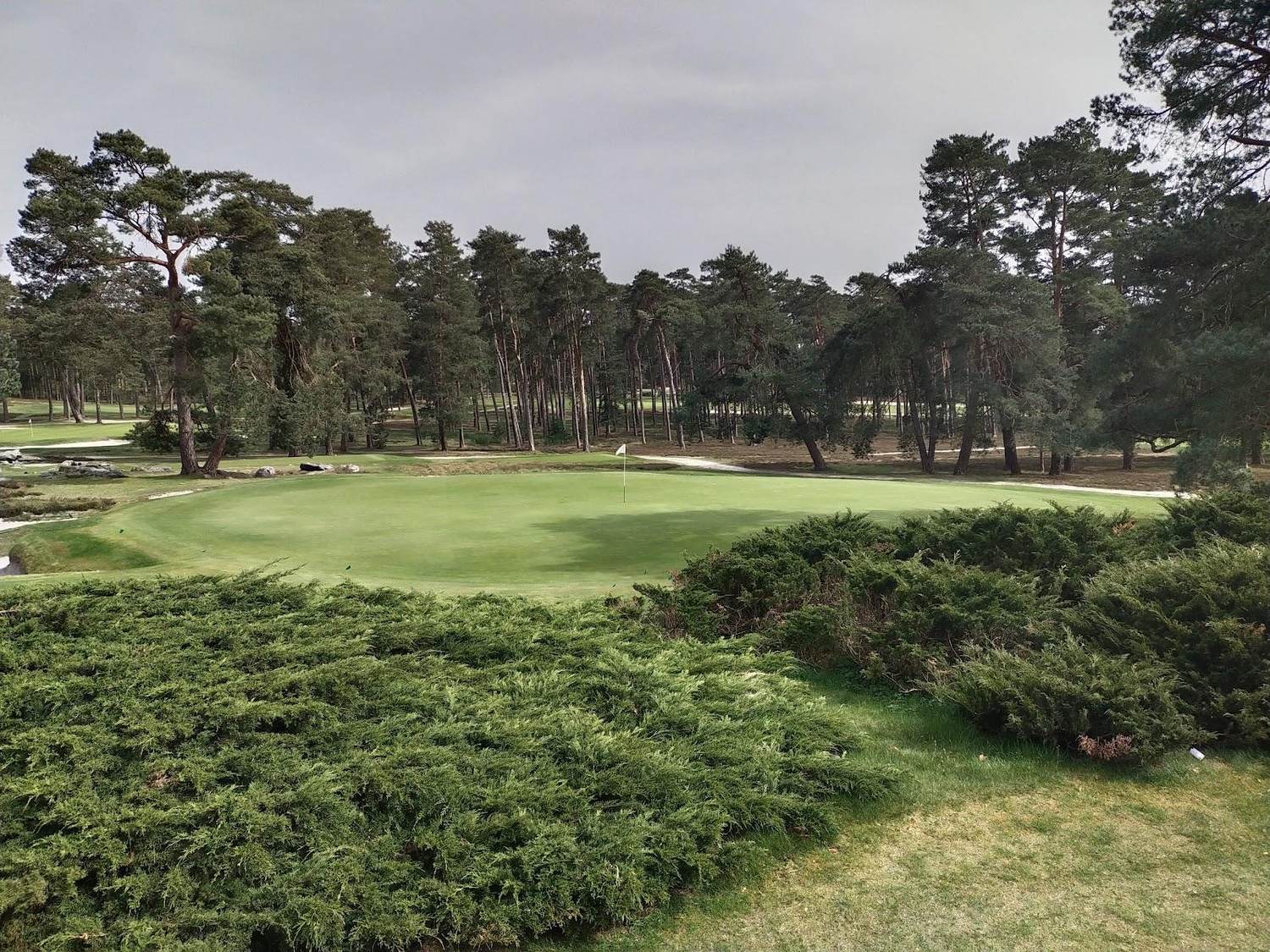 Golf de Morfontaine, Tom Simpson heathland fairway among Scots pines north of Paris, France