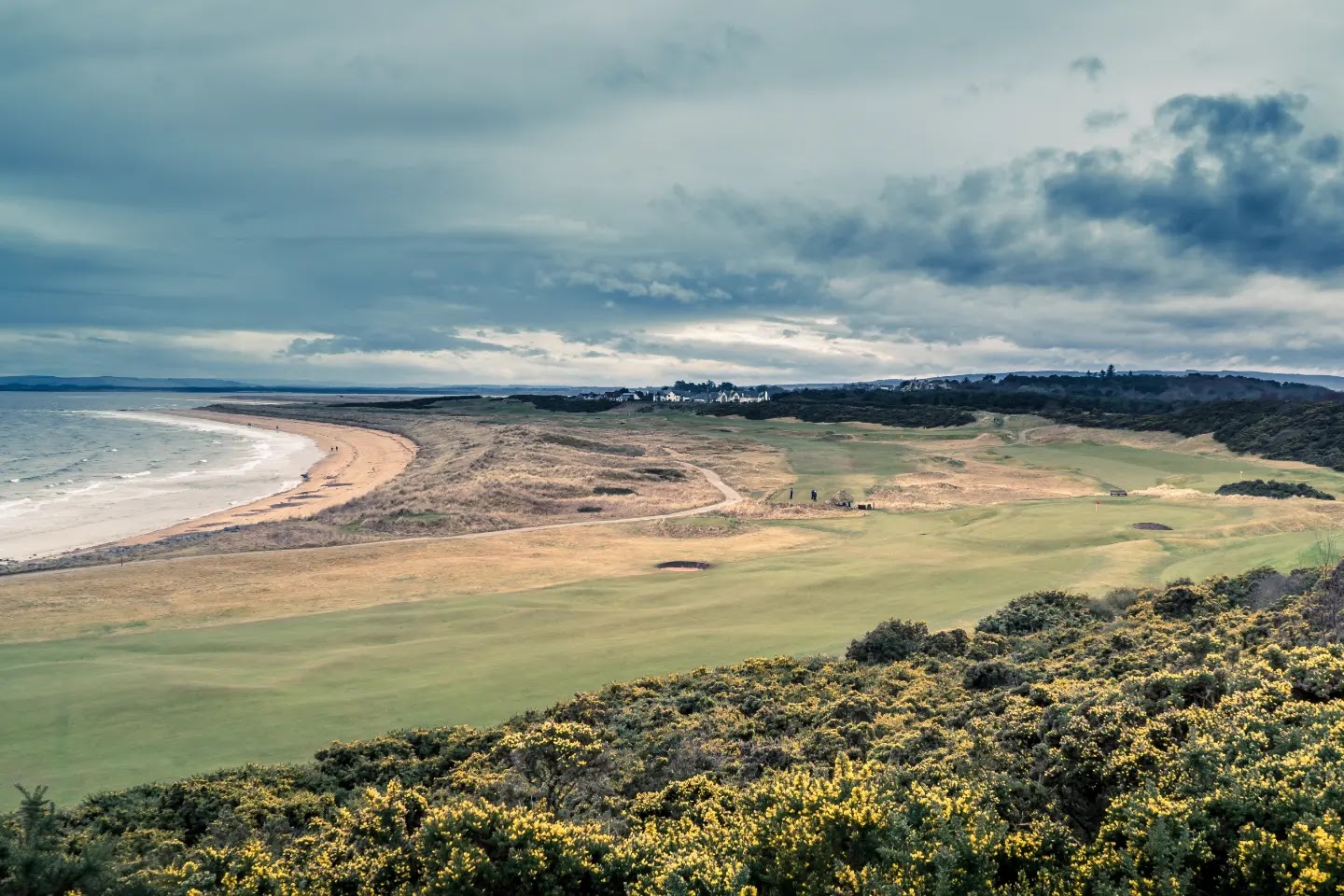 Royal Dornoch Golf Club, Sutherland, Scotland, links fairway running through gorse toward the Dornoch Firth