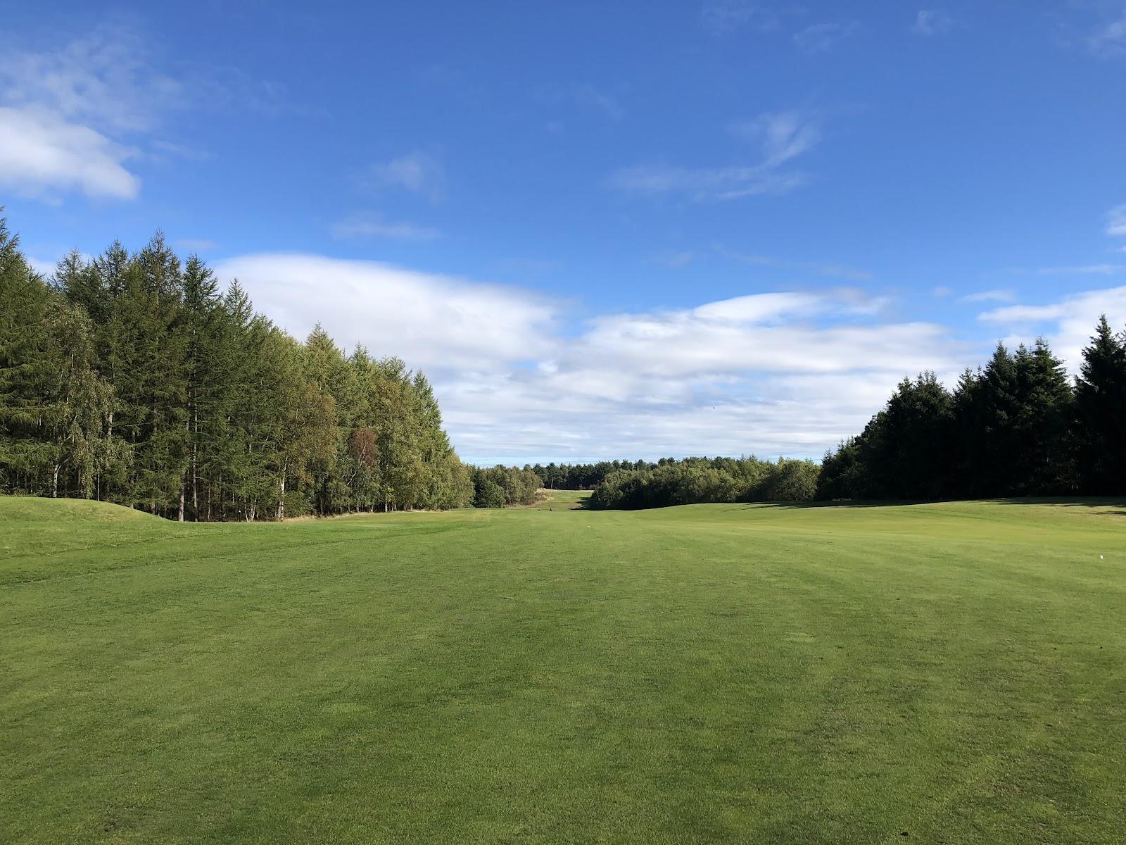 Woburn Golf Club, tree-lined fairway through pine and silver birch in Bedfordshire, England